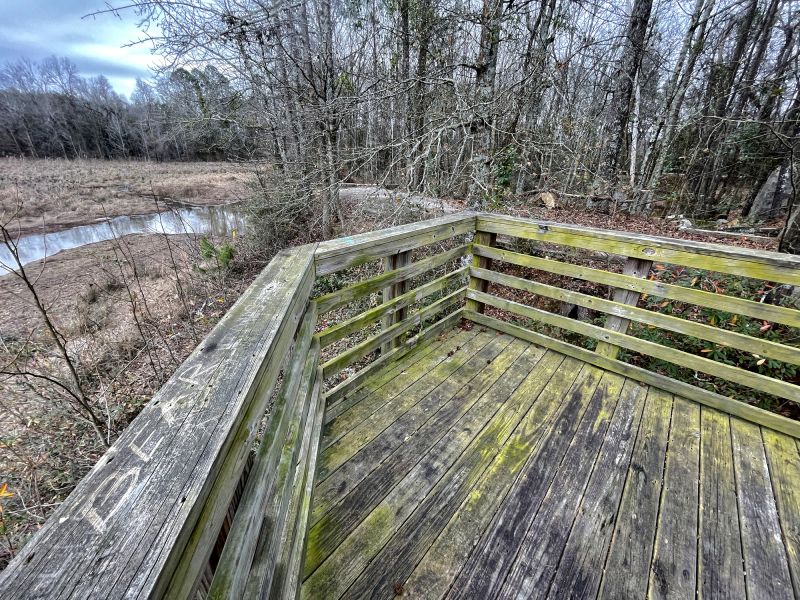 Environmental Exposure